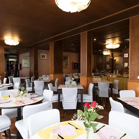 Vienna Hotell 3*